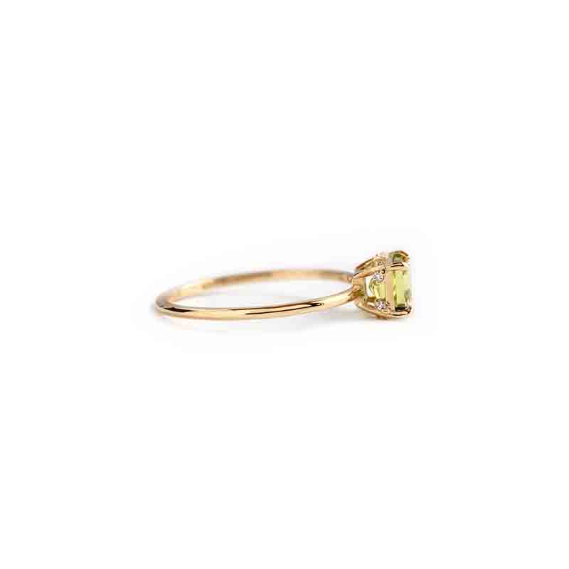 Ring Verde Vignette/Edge Ri